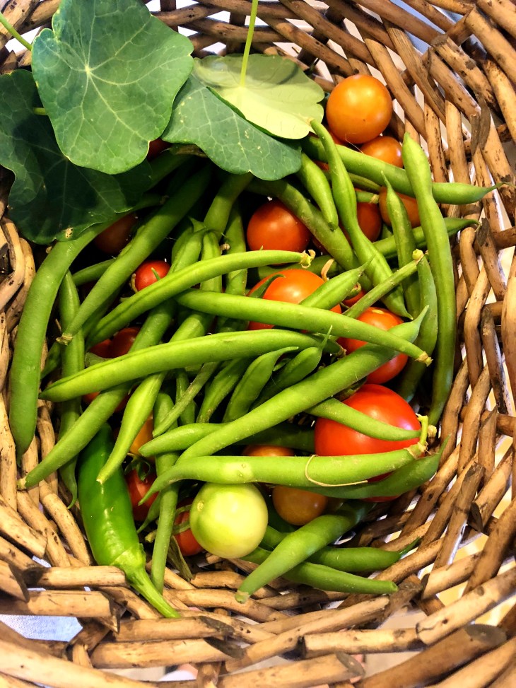 15357A24-0CFE-4995-A7A1-9CD421CF35FB