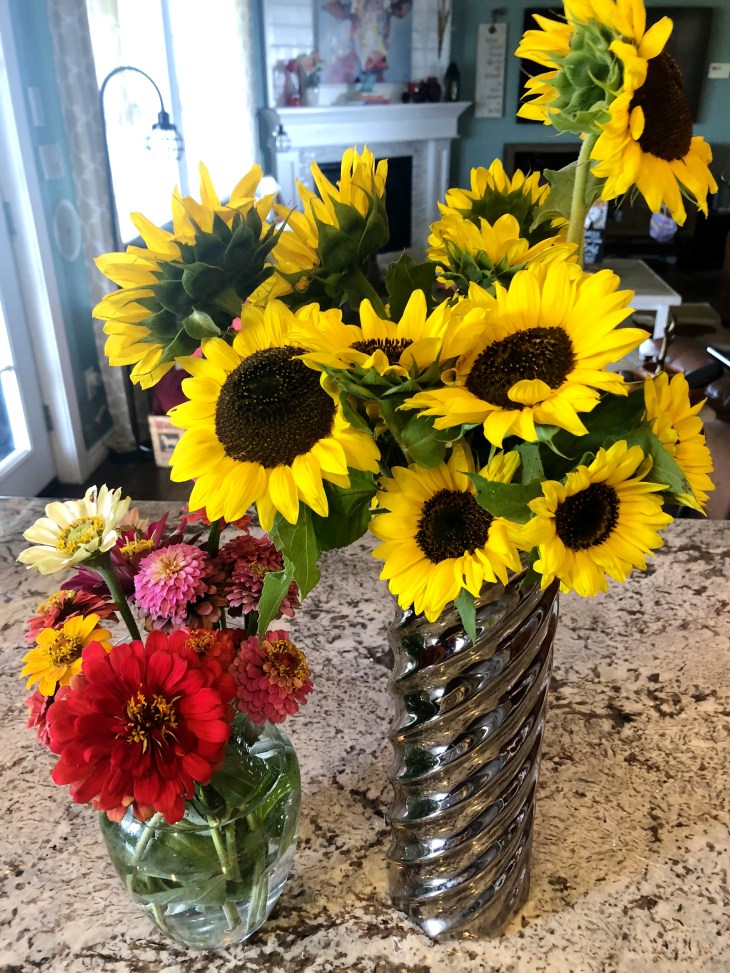 19682D66-9567-4AC6-B71D-4CE51677EF53