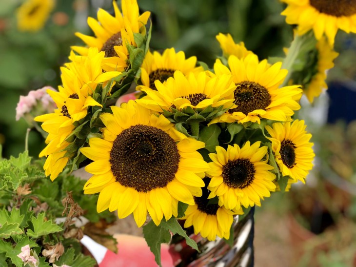 2E589092-BCEE-41DC-8A90-78A7FB4851B6