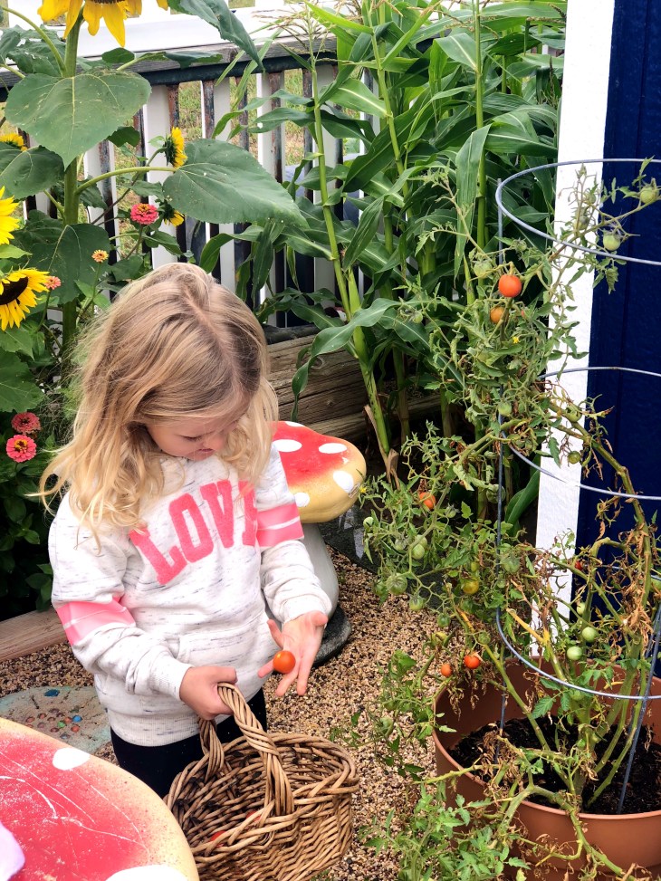 3D6897ED-2667-47B8-B9B5-05B94762B7A5