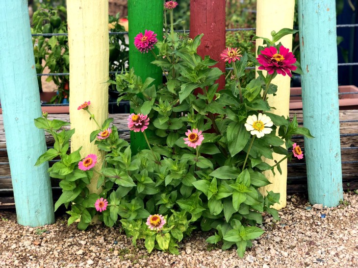 6355B5EC-B110-4BE0-8B68-B37AC44B77A2