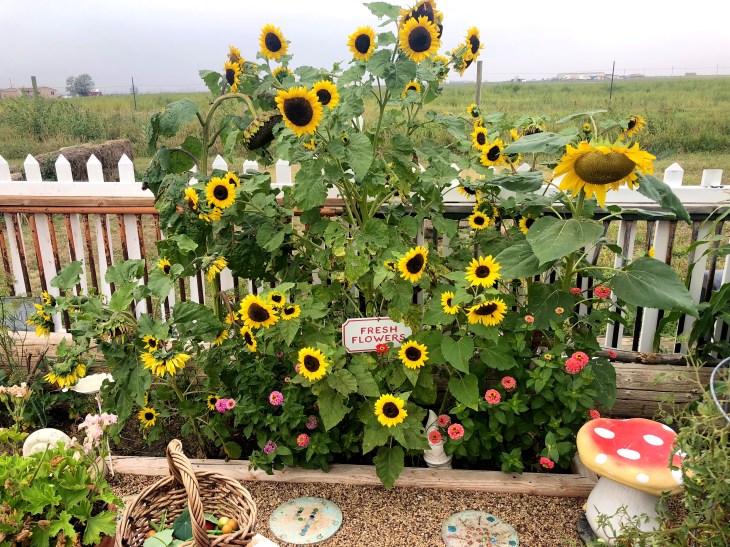 7F6D3D17-2B6D-4786-8FD5-A9A8B3AC9AEC