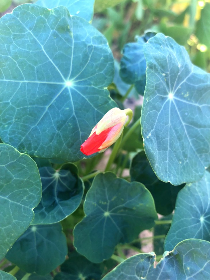 8A1DE8C2-A7B0-4279-BB00-4DB7DF583E39