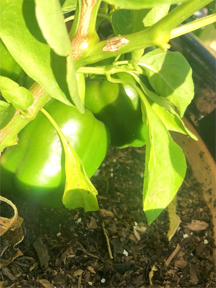 D4751022-2DE8-4437-A72F-101C88251F32