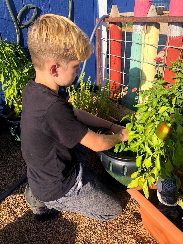 DD2093EA-3DBA-4152-8301-8D6CA63D93C9