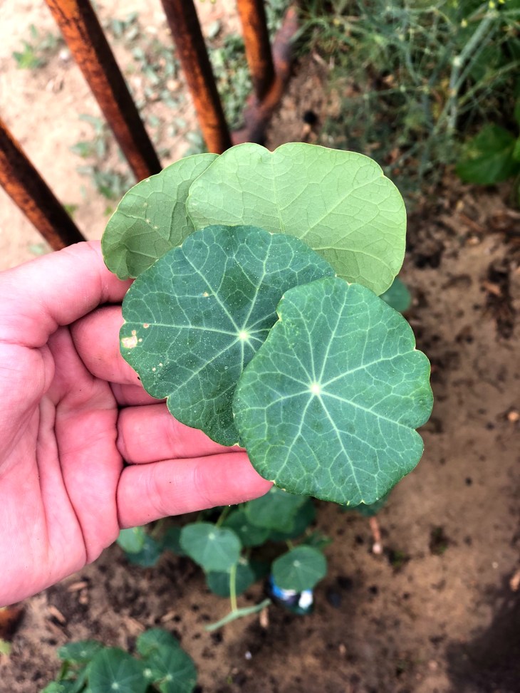 F9AD7263-CE54-4D31-A035-415F63DB79AD