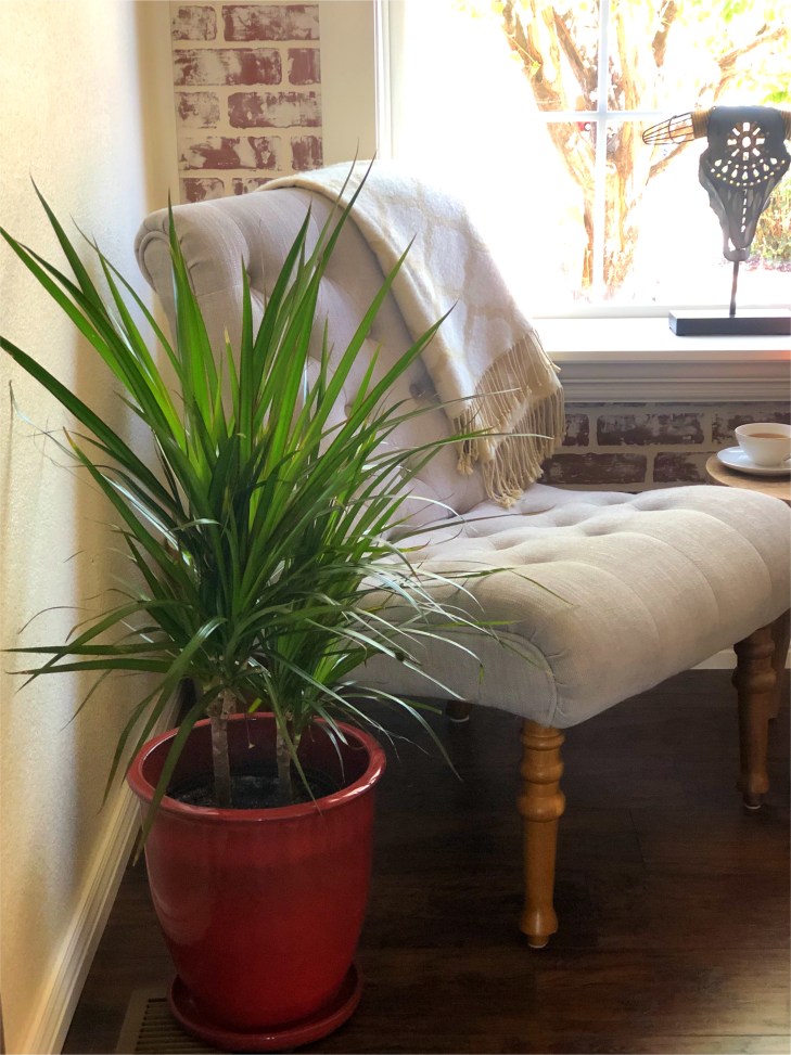 FC274D15-15C8-4086-BBA5-62AA68431BA4