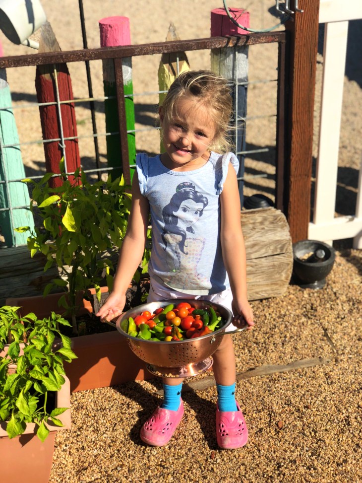 3A6835B2-2B81-4992-861B-38A06FA31428