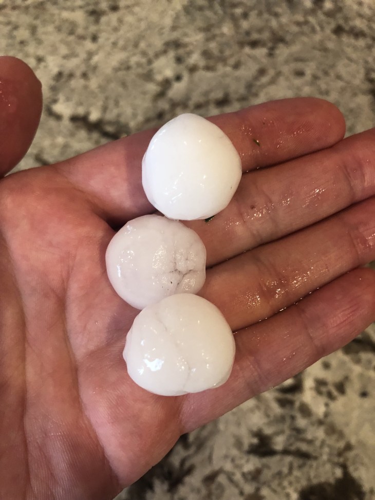 36585C2F-EB3F-41B6-82E2-421AE5D7CBCE