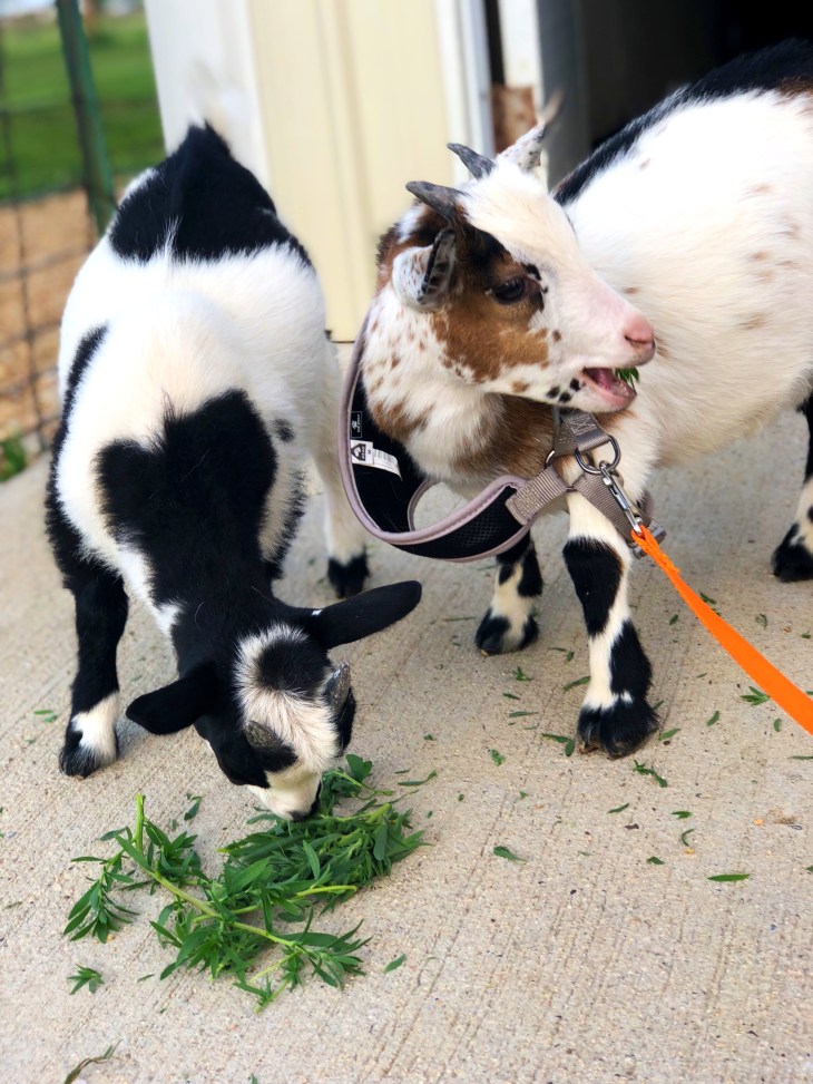 6E94587F-127B-47EF-B351-9439B1FCAFEB