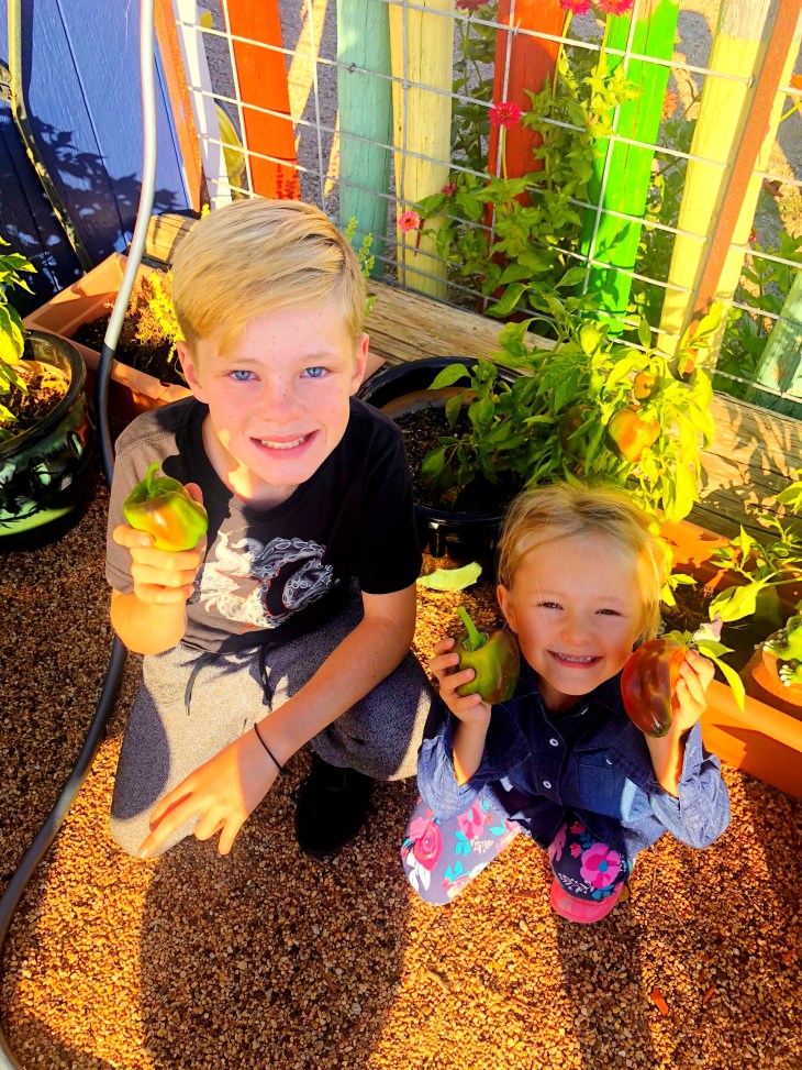 8E92A286-618C-424F-A4AD-2B268AC71347