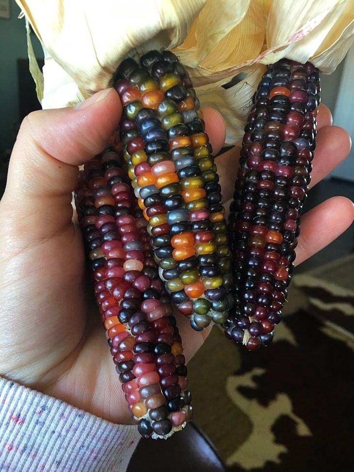 9095F1E8-A58C-408C-8B13-A4CA123F1569