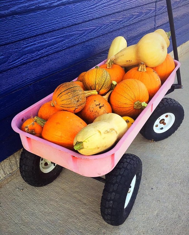 091113B0-D166-4F3B-B1F4-2B82560655F2