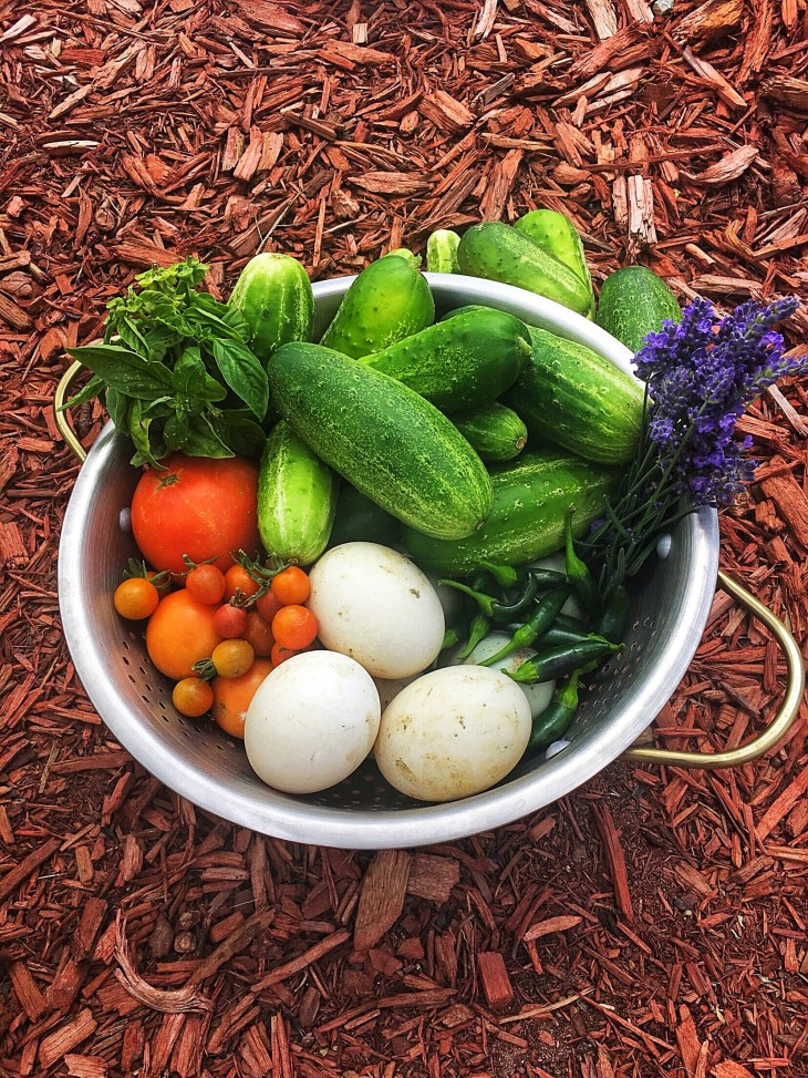 14D901D3-0501-43D2-9666-267A85F3DF6B