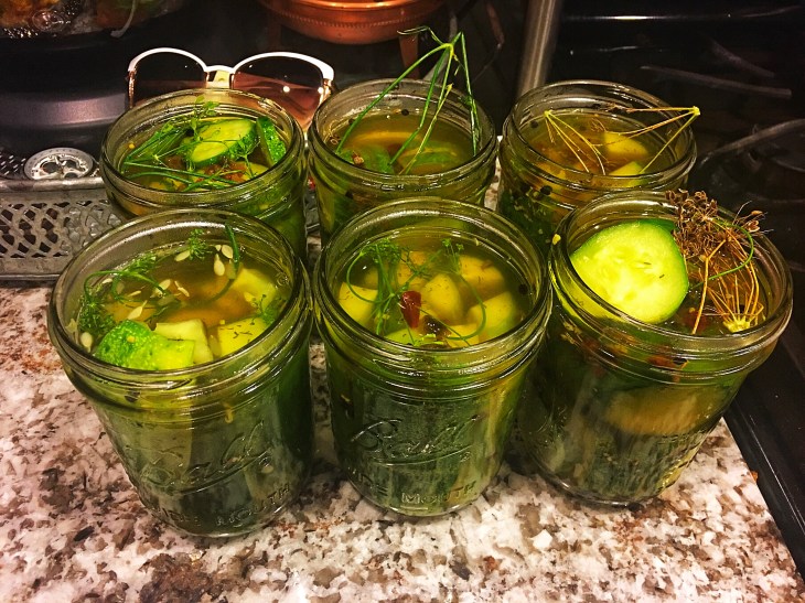 283CC85C-99E5-496E-88D9-B5E660B9D7BD