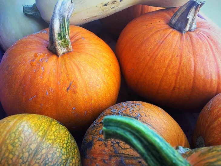 2F1AB3A8-0A72-4DE1-9234-2EF44150C2A5