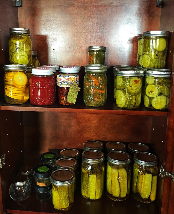 3938B9AA-0601-42C0-9678-AF77F314807A