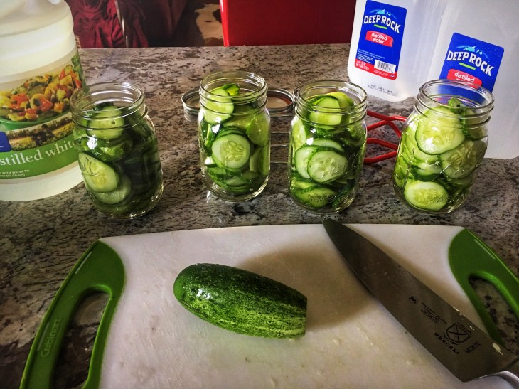 76929BD0-BEF4-4D3E-AEEC-08538DEA35CE