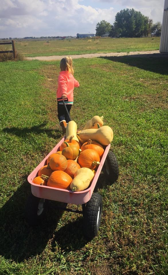 7D51B781-4283-43DF-ADDF-72AECD33B810