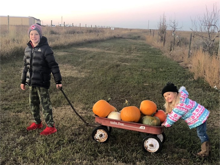 8EF99192-5DB6-47B2-B257-EC2696F533FE