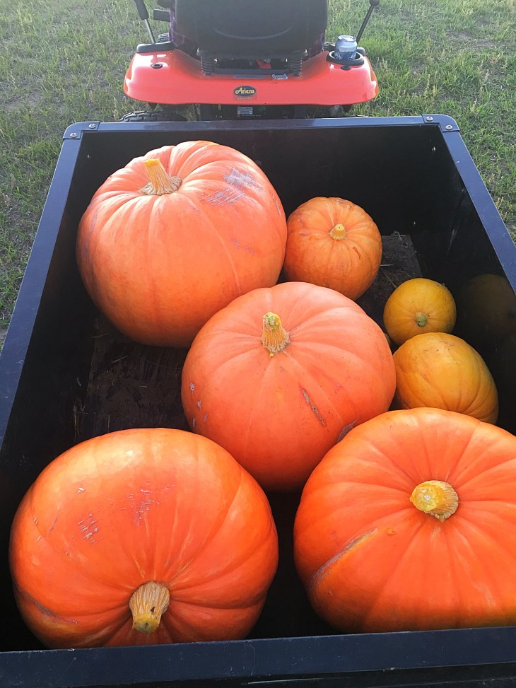 95ACC657-EB91-445C-88D3-2E527A11D9B1