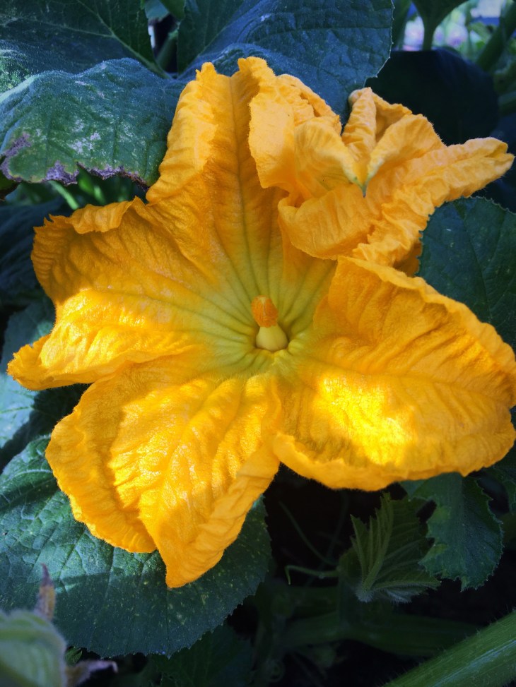 9ED59E3C-C031-4459-B968-F153320B2F7F