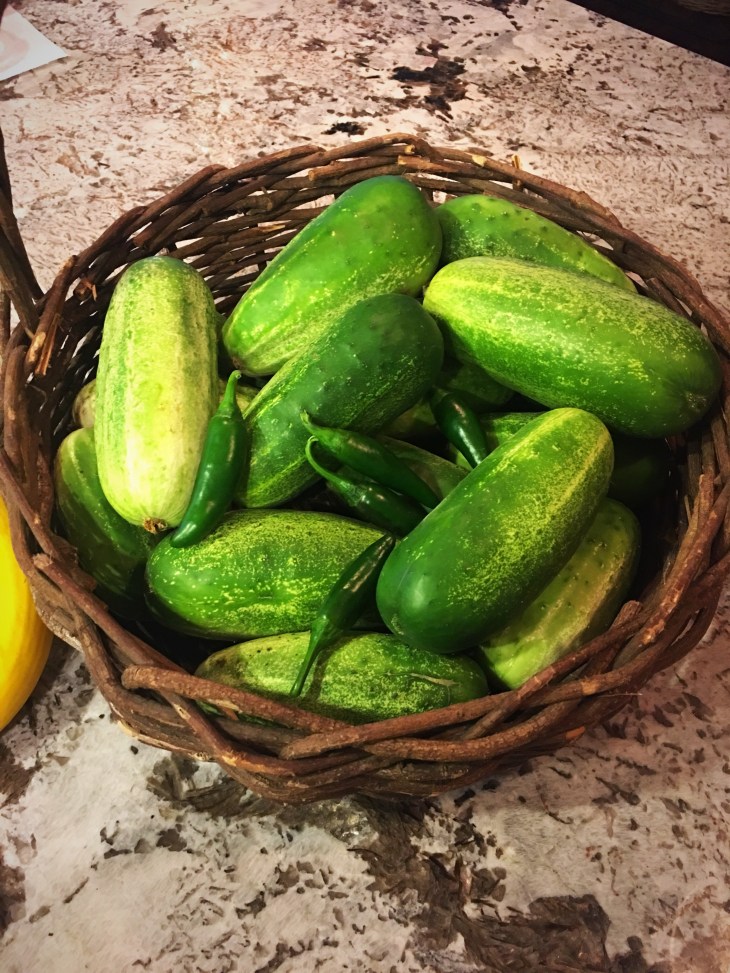 B6766CD4-155E-4E6E-85EE-6983A29CFF66